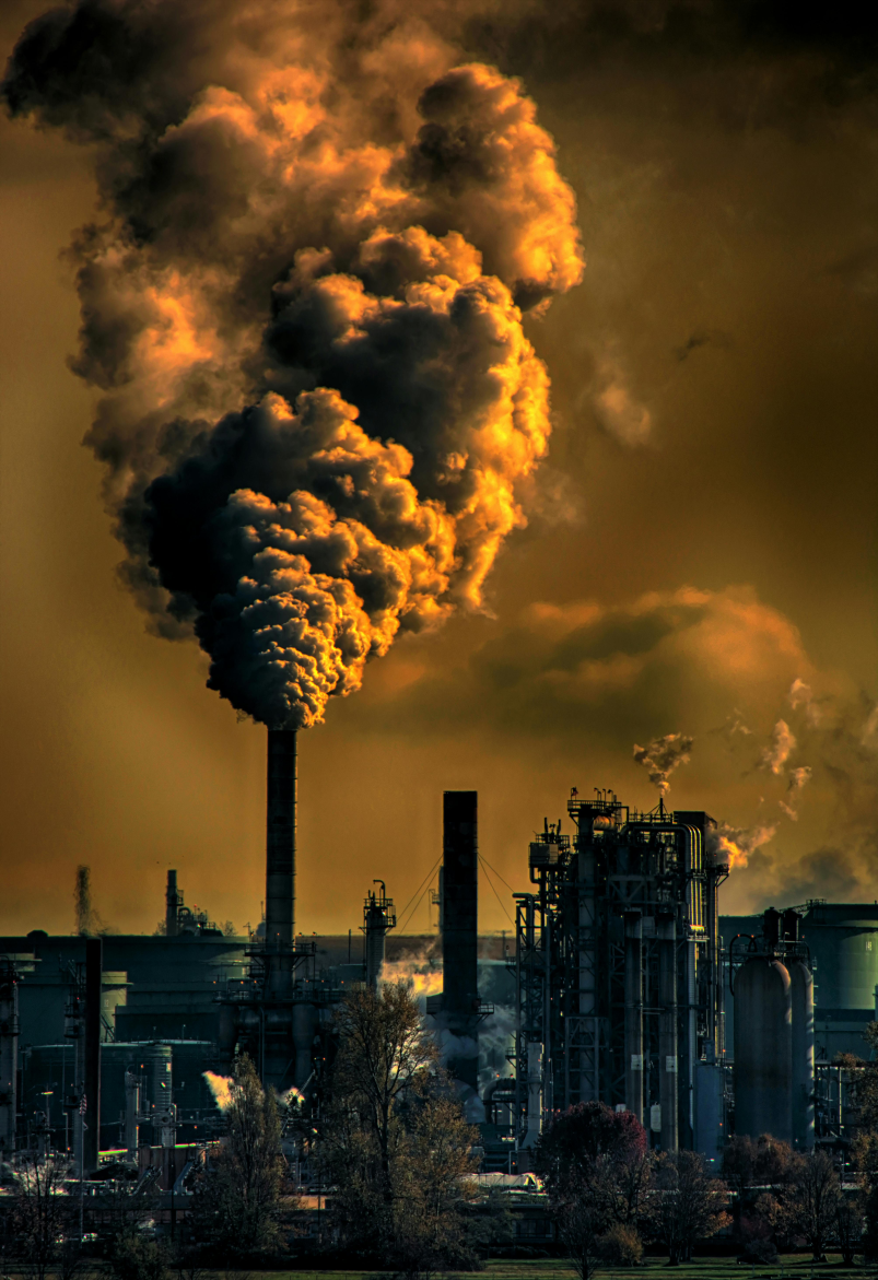 Ecolitic — banner image 3